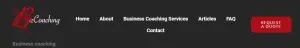 BizCoaching website navigation bar with links to Home, About, Services, Articles, FAQ, Contact, and a red 